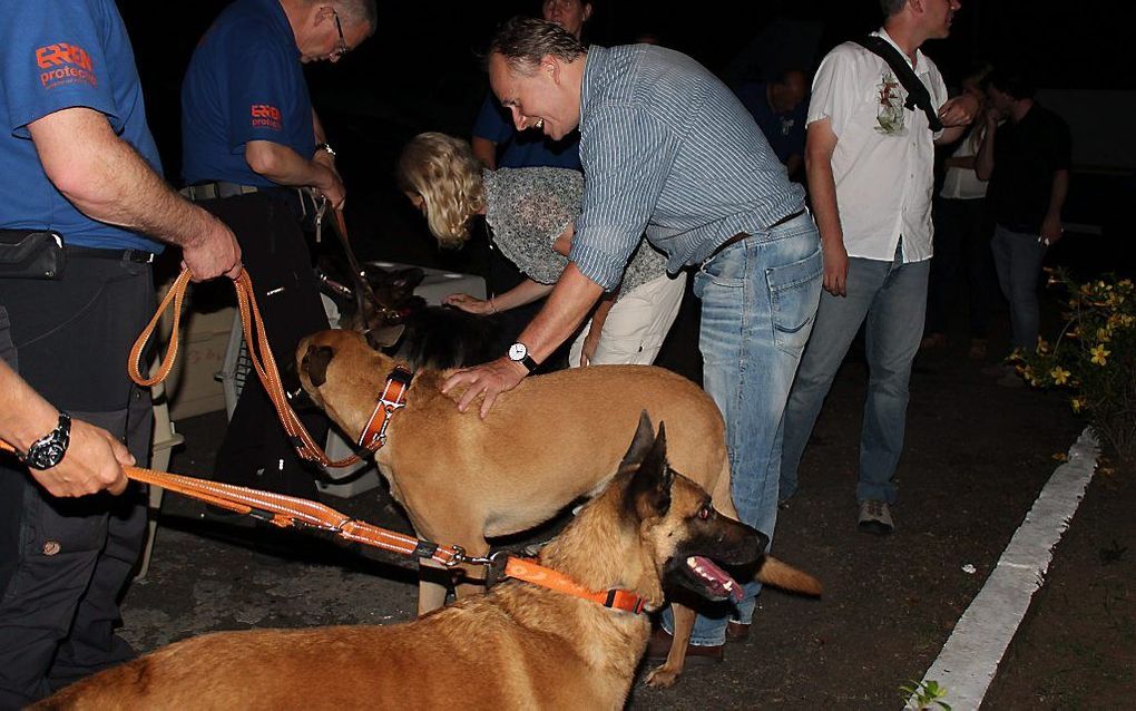 De speurhonden van de stichting Reddingshonden RHWW uit Duiven gaan dinsdag voor het eerst zoeken naar de vermiste Nederlandse vrouwen in de bossen rond Boquete in Panama. beeld EPA