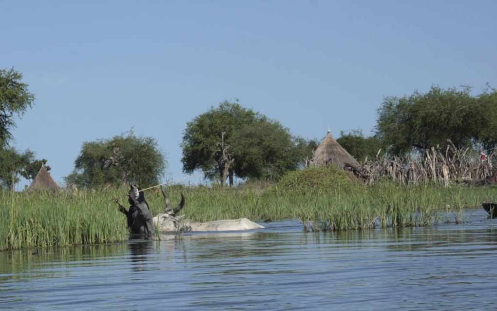 Om in het voedingscentrum te komen, trotseren vluchtleingen in Zuid-Sudan het diepe en gevaarlijke moeras eromheen. beeld Medair