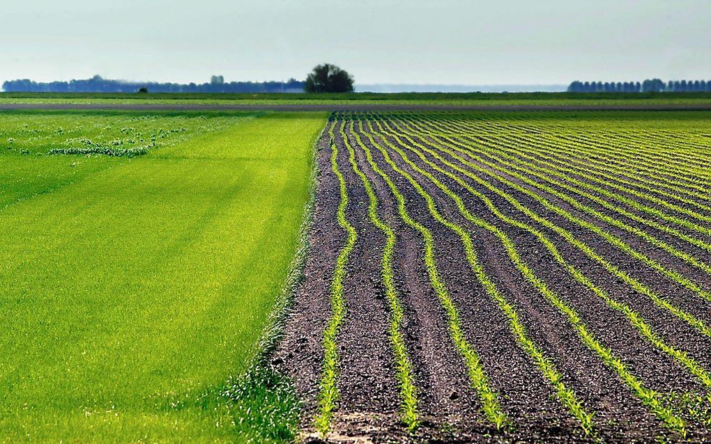 beeld RD, Sjaak Verboom