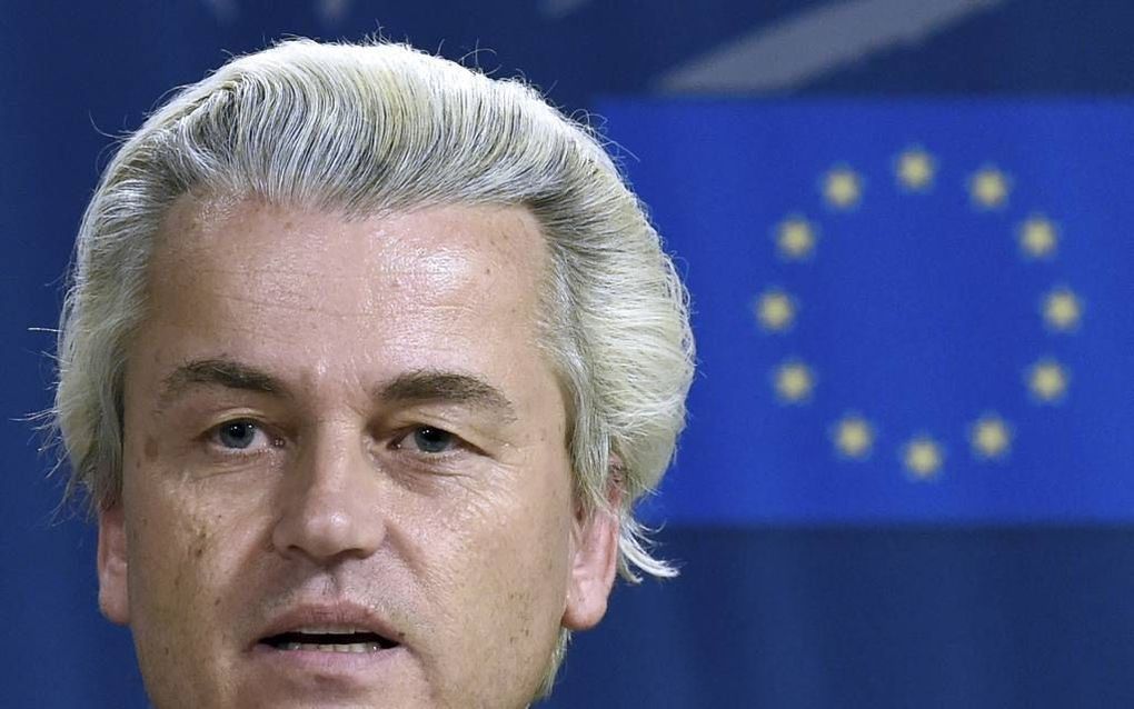 Wilders, beeld ANP