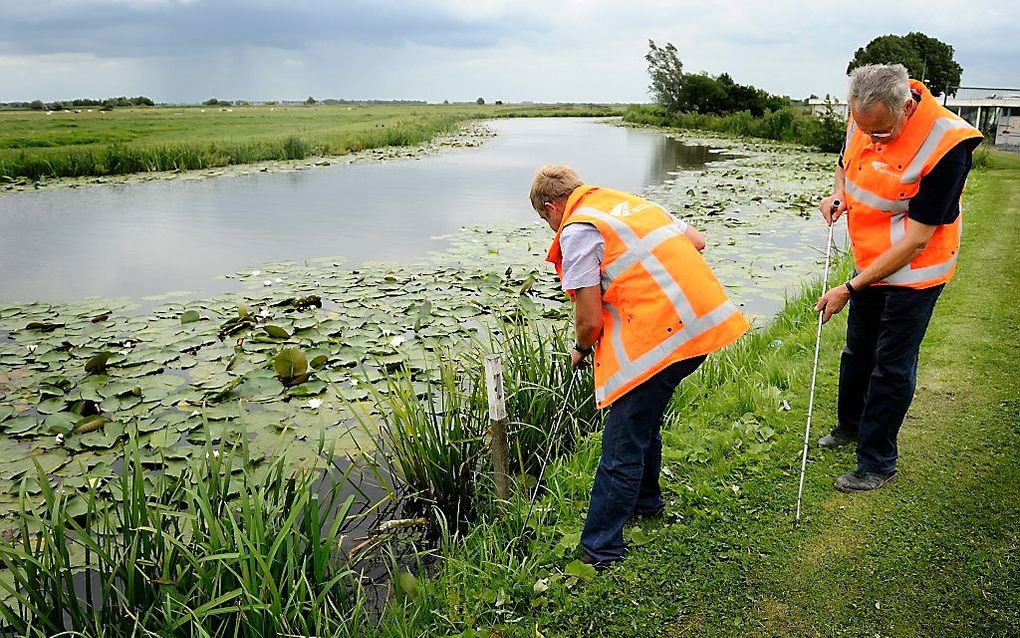 Polder bij Haastrecht, in de nieuwe gemeente Krimpenerwaard. beeld ANP