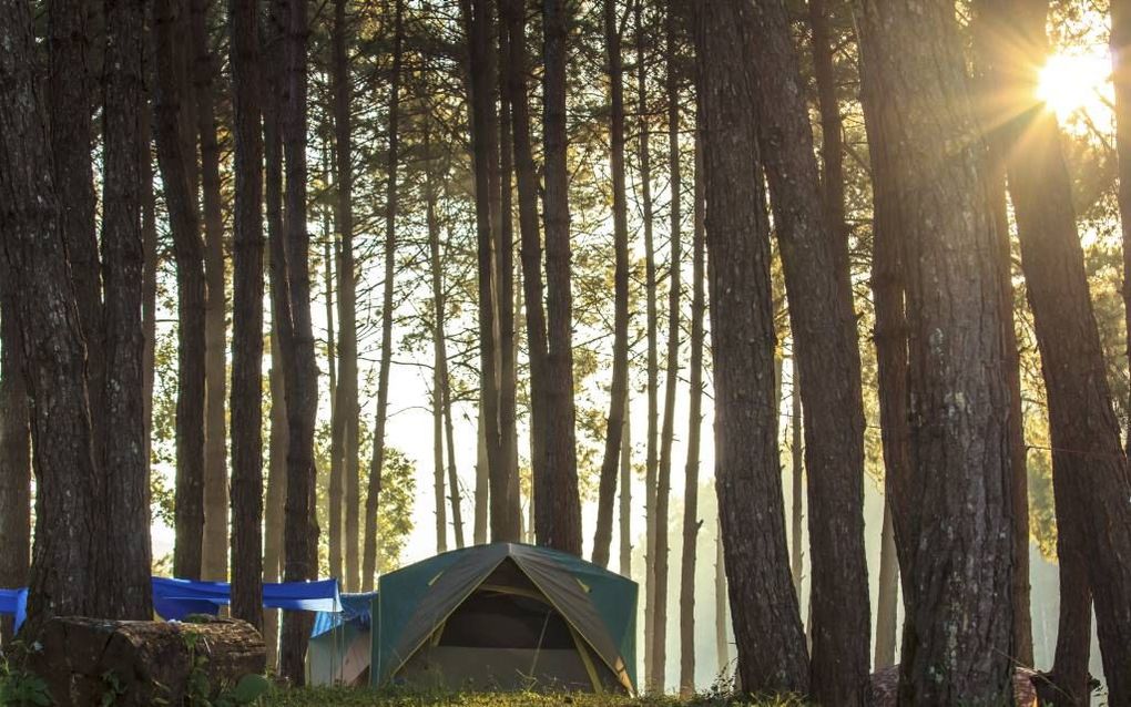 ERMELO. De recreatiekoepel in Gelderland bepleit plaatsing van meer zendmasten op de Veluwe, om gebruik op de camping te verbeteren. Het bereik is daar nu veelal slecht of zelfs afwezig.  beeld Fotolia