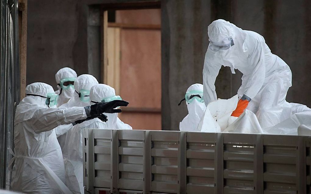 In het Liberiaanse Monrovia worden gestorven ebolapatiënten in een auto geladen. beeld EPA