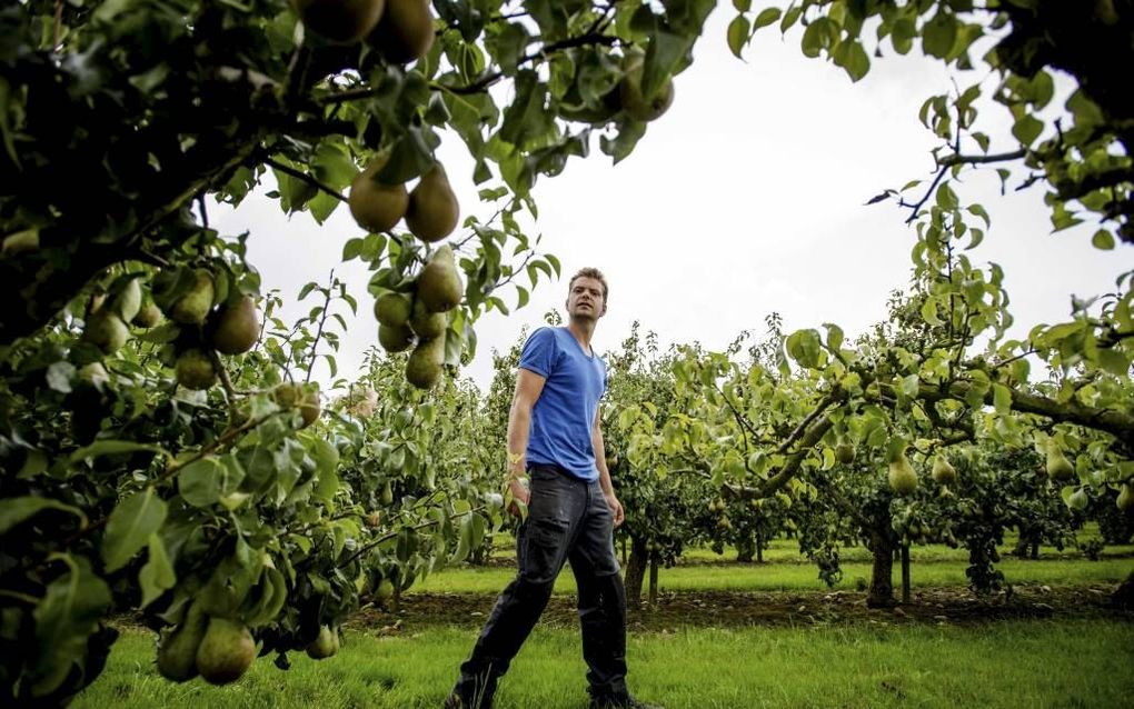 „Wat de sector nu overkomt heeft niets te maken met normaal ondernemersrisico waarop geanticipeerd kan worden.” beeld ANP