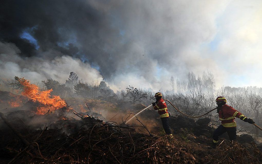 Brandweermannen bestrijden een bosbrand in Freixiosa, Portugal. Meer dan honderd brandweerlieden en drie blusvliegtuigen bestrijden de brand. beeld EPA