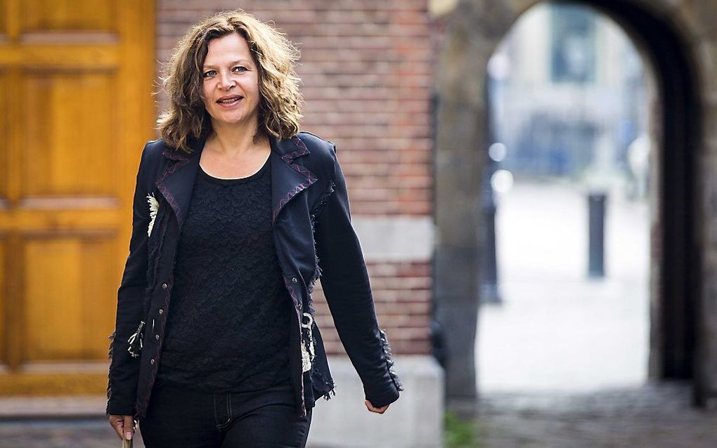 Minister Schippers van VWS, beeld ANP