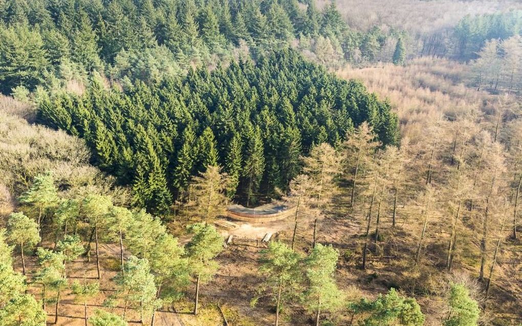 Wildarena Witte Hoogt is klaar. De wildobservatiepost in het Noord-Veluwse Speulder- en Sprieldersbos werd vorige week geopend. De plek ligt in het hart van het bos, waardoor de kans op het zien van wilde zwijnen, edelherten en reeën groot is. beeld Geurt