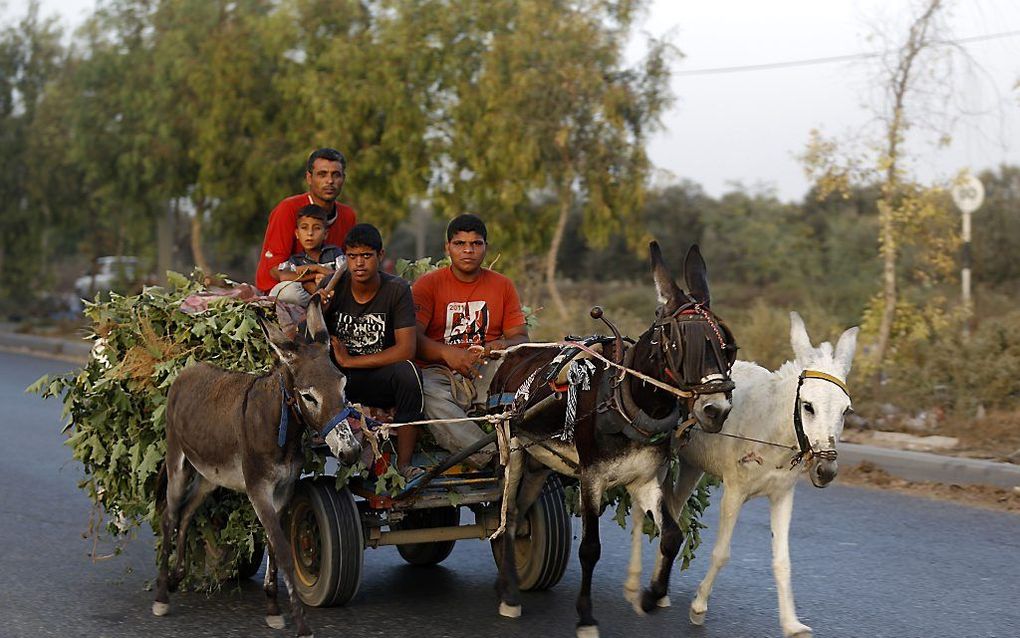 Gaza-Stad. beeld AFP