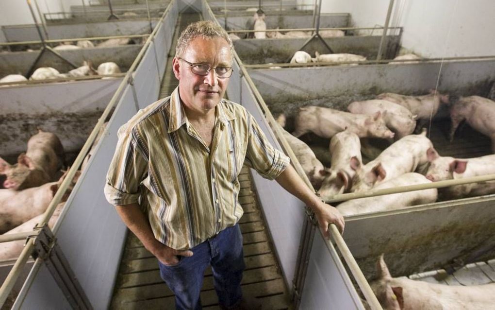 LUNTEREN. Varkenshouder Gijs van Ommeren. beeld RD, Anton Dommerholt