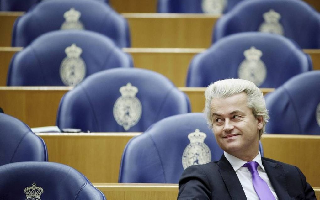 PVV-leider Wilders. beeld ANP