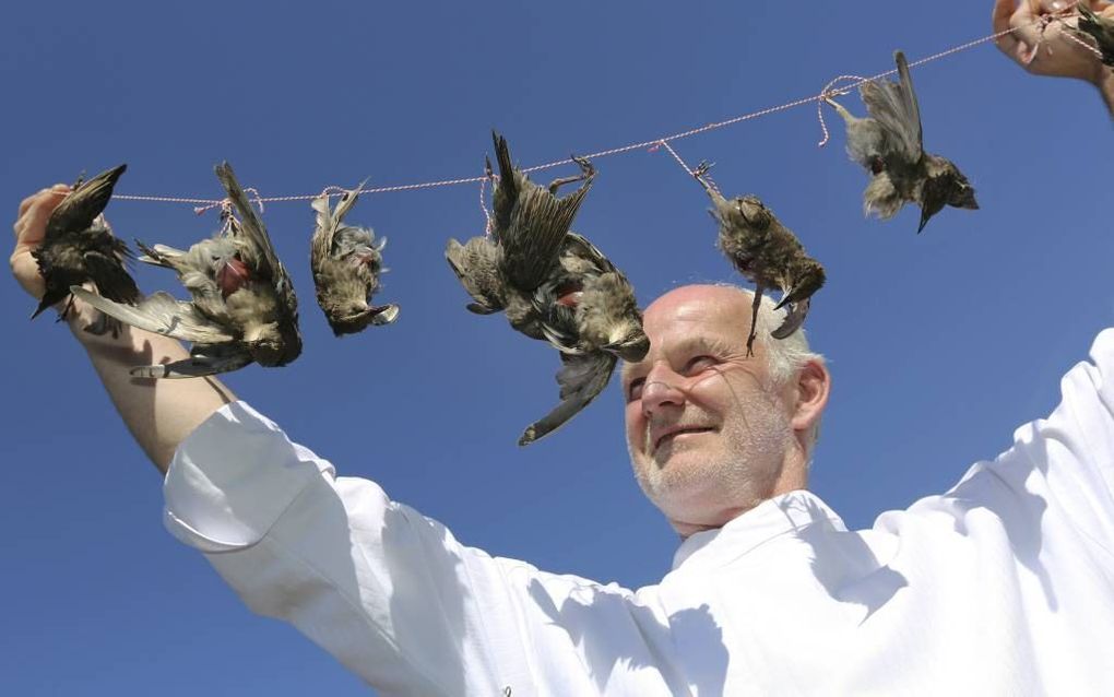 Eigenaar Arjan Smit van restaurant de Pronckeer zette anderhalf jaar geleden de spreeuw op het menu. Mei dit jaar experimenteerde hij met muskusratten. De Provincie Utrecht veranderde eind vorige maand speciaal voor hem de regels om het serveren van deze 