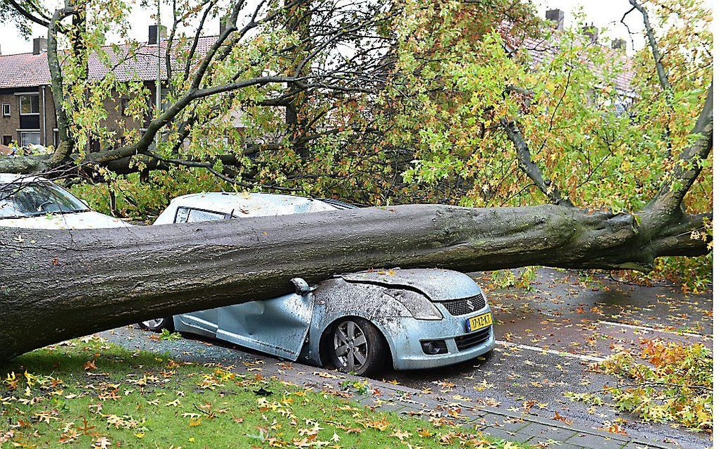 In enkele straten in Tilburg-West heeft de storm dinsdag een grote ravage veroorzaakt. beeld ANP