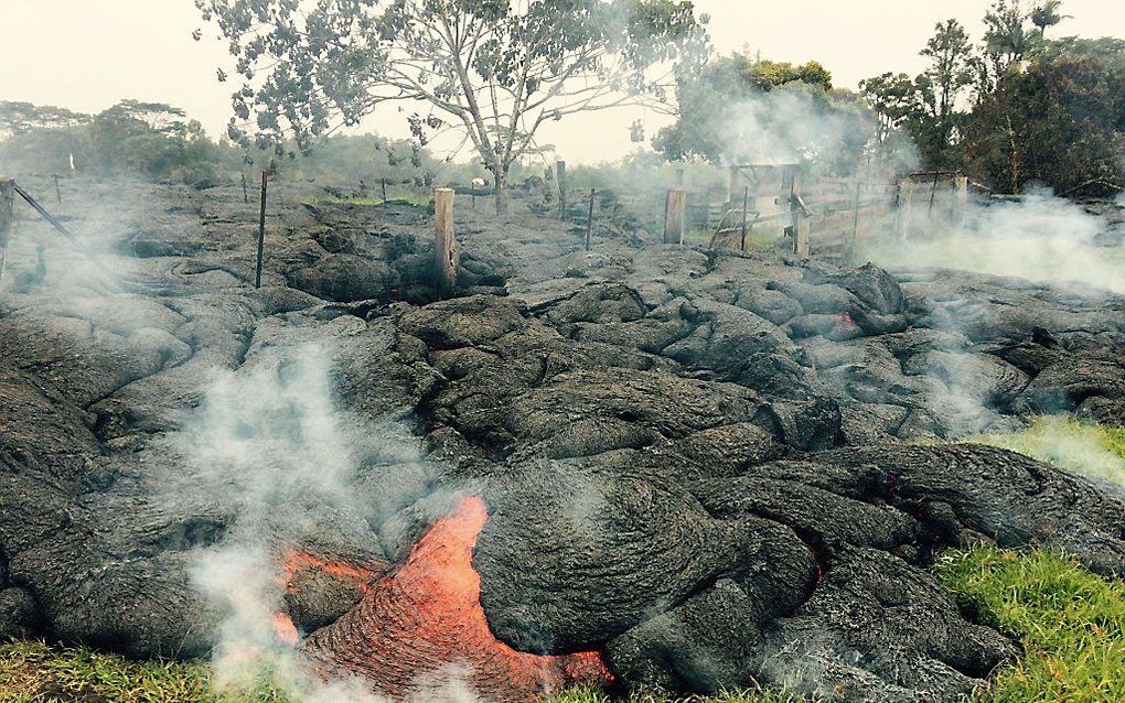 Beeld AFP