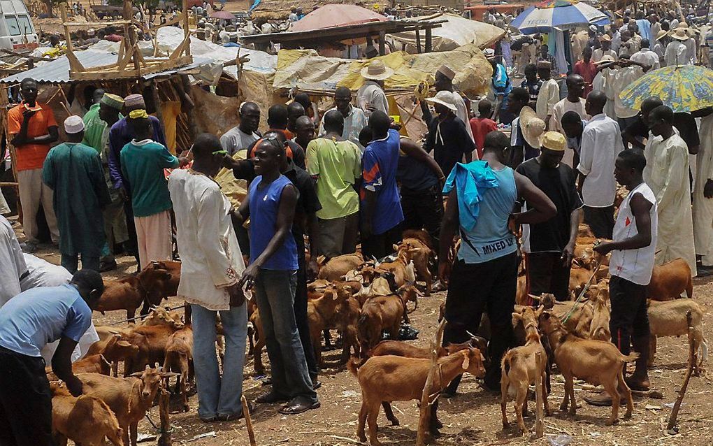 Markt in Mubi, mei 2013. beeld EPA