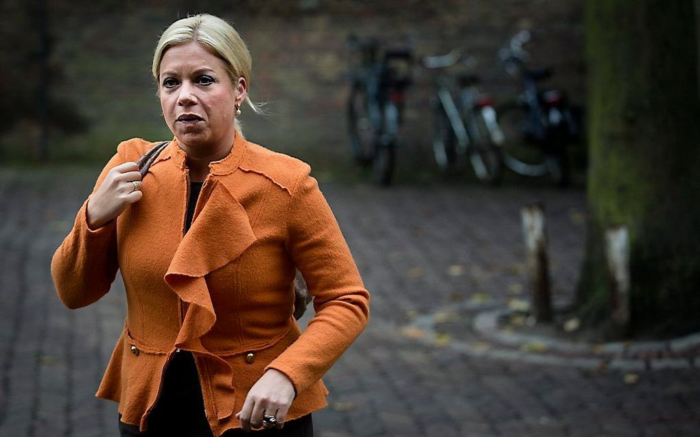 Minister Hennis-Plasschaert van Defensie. beeld ANP