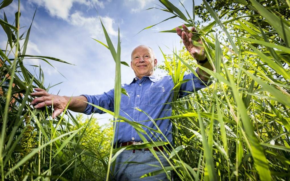 beeld Hollandse Hoogte