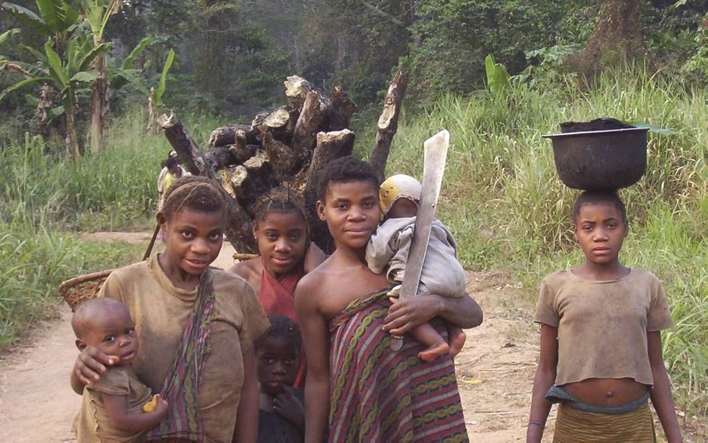 BAKOTA. Pygmeeën in het zuidwesten van de Centraal-Afrikaanse Republiek. beeld B. van den Toren