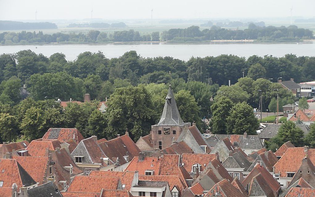 Elburg, gezien vanaf de toren van de Grote Kerk.                               Beeld RD