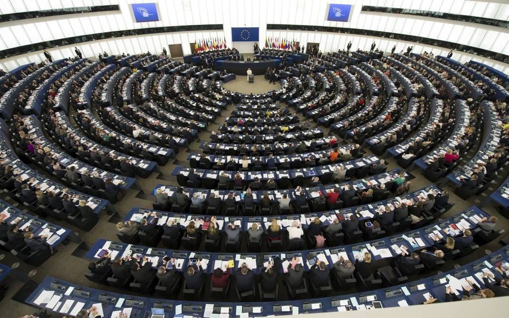 De paus sprak dinsdag het Europees Parlement toe. beeld AFP