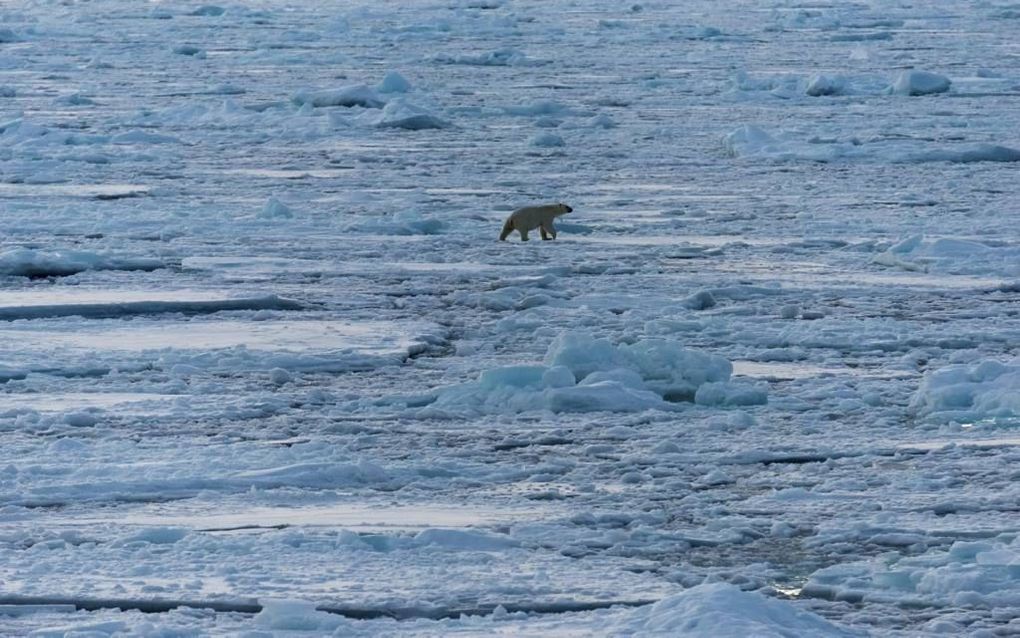 Het noordpoolijs doet het dit jaar iets minder slecht. Tegen het einde van vorige maand was het grootste deel van de Noordelijke IJszee al met ijs bedekt. Op sommige plaatsen was de groei wat trager dan gemiddeld, onder meer in Hudsonbaai, maar de Groenla