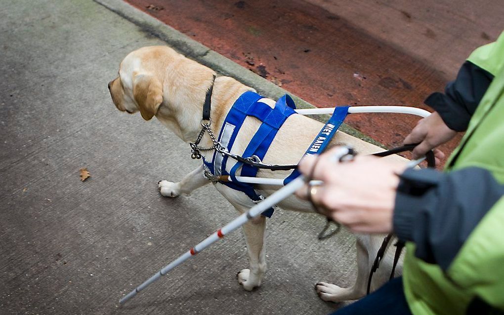 Bedrijven kunnen vanaf 2017 een boete krijgen als ze te weinig arbeidsgehandicapten in dienst hebben. Het gaat om 5000 euro per niet-ingevulde werkplek. beeld ANP