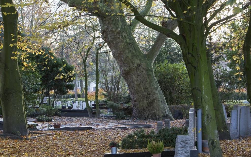 Oud-Kralingen is de grootste particuliere begraafplaats van Nederland. beeld RD, Anton Dommerholt