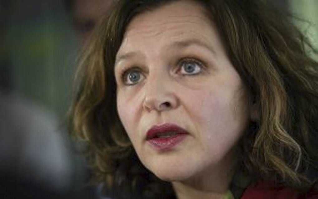 Minister Schippers. beeld ANP