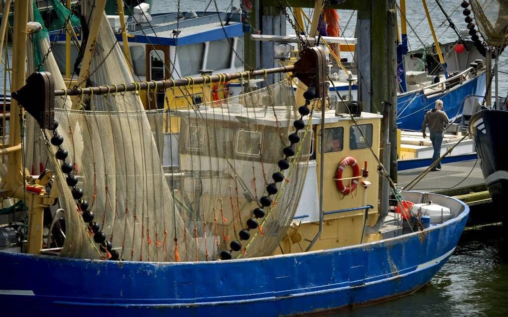 LAUWERSOOG. Staatssecretaris Dijksma sloot vorig jaar delen van de Noordzee af voor de de garnalenvisserij. De Raad van State vindt dat ze haar huiswerk moet overdoen. Foto: Garnalenkotters in de haven van Lauwersoog. beeld ANP