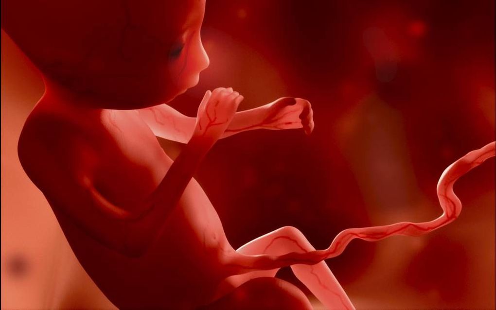 Bij een abortus wordt een kindje weggehaald. Niet een klompje cellen, zoals veel pro-abortus activisten vaak betogen. beeld Fotolia