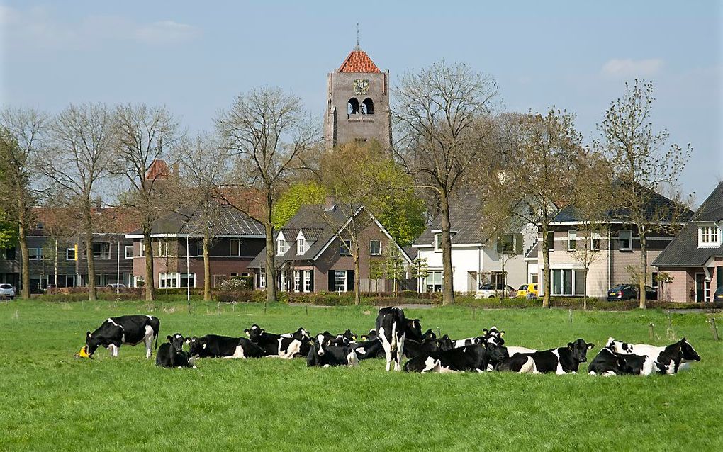 Dorpsgezicht van Spoordonk (gemeente Oirschot). beeld ANP