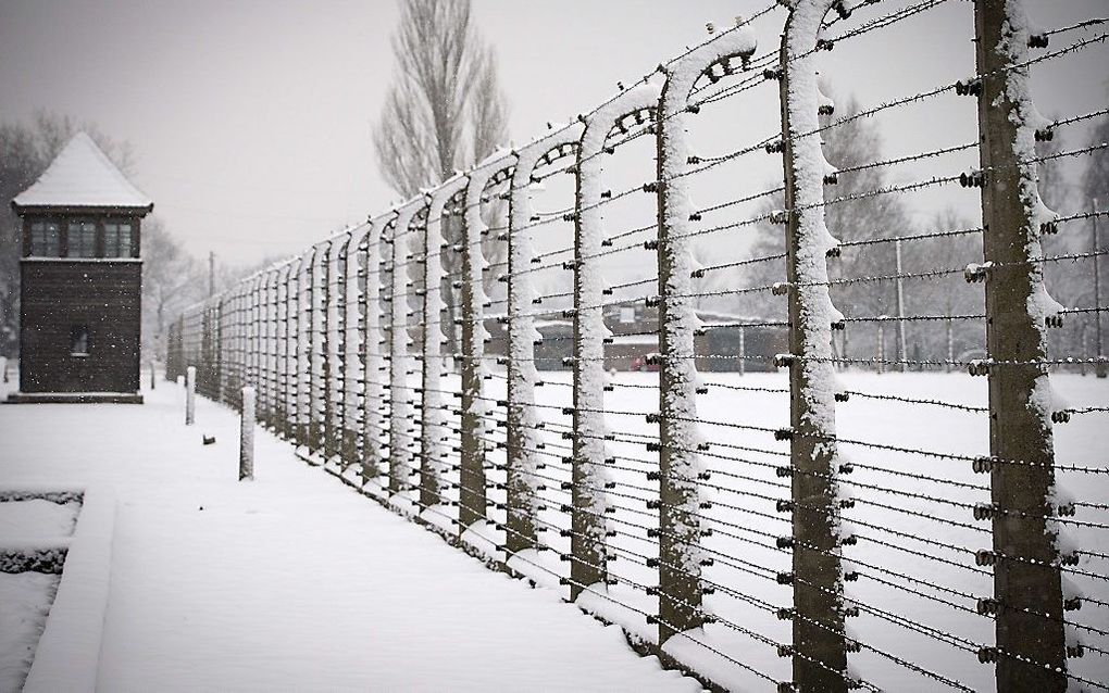 Auschwitz. beeld AFP