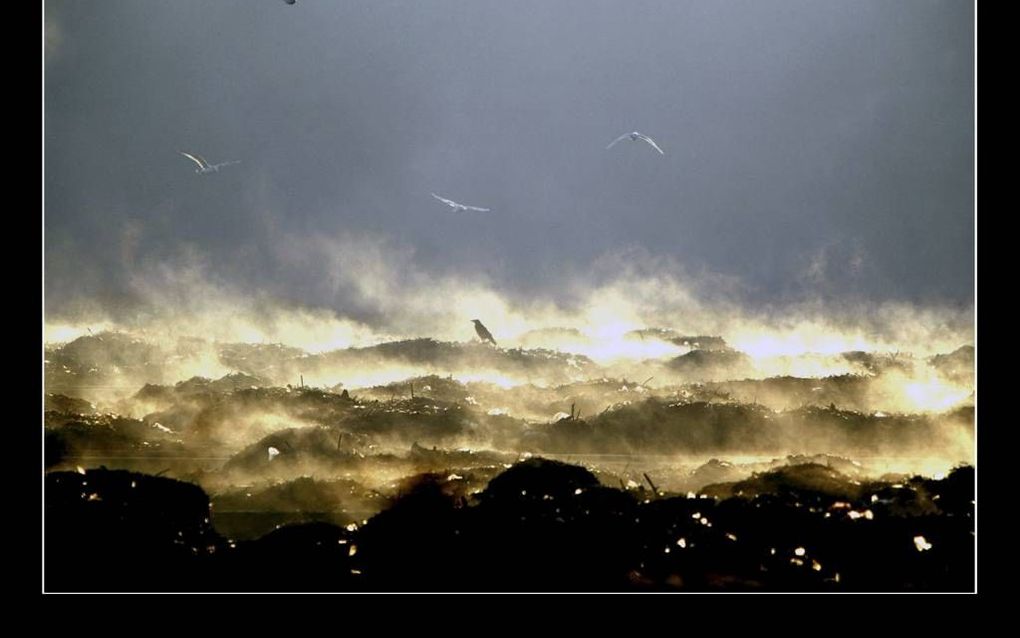 beeld RD, Henk Visscher