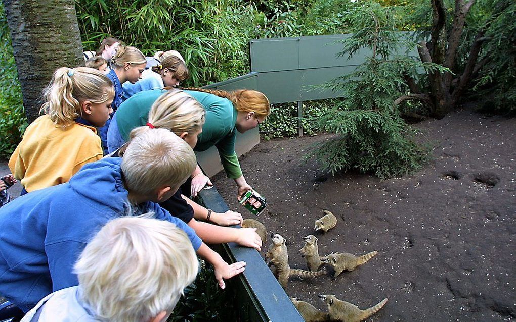 Dierenpark Wissel in Epe. Beeld Sjaak Verboom