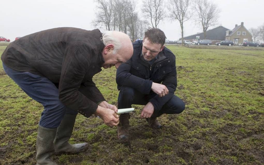 INDIJK. Taxateur Joop Verheul (l) bekijkt met veehouder Jacob van der Wal de muizenschade op een perceel grasland. Er blijkt niets meer mee te beginnen. „Doodspuiten en opnieuw inzaaien”, raadt Verheul. beeld RD, Anton Dommerholt