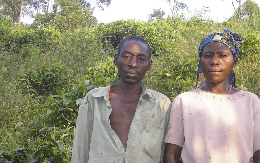 KANUNGU. Theeplanter Ricardo Kagure maakt samen met zijn vrouw lange dagen op het stuk land waar ze voedsel verbouwen voor het eigen gezin. De theecultuur geeft hij tegenwoordig minder prioriteit, in tegenstelling tot zijn meeste collega’s. beeld Nico van