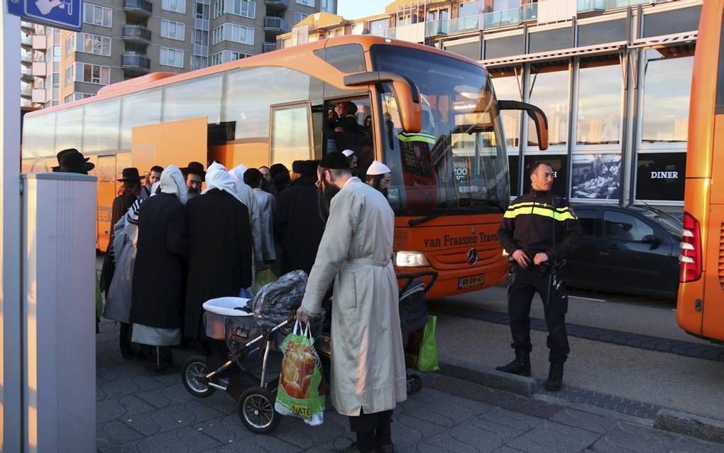 Volgelingen van de omstreden rabbijn Berland stapten gisteren in bussen nadat ze vernielingen hadden aangericht in een hotel in Vlissingen.  beeld Provicom