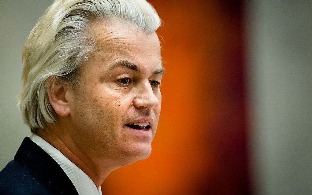 PVV-leider Wilders. beeld ANP