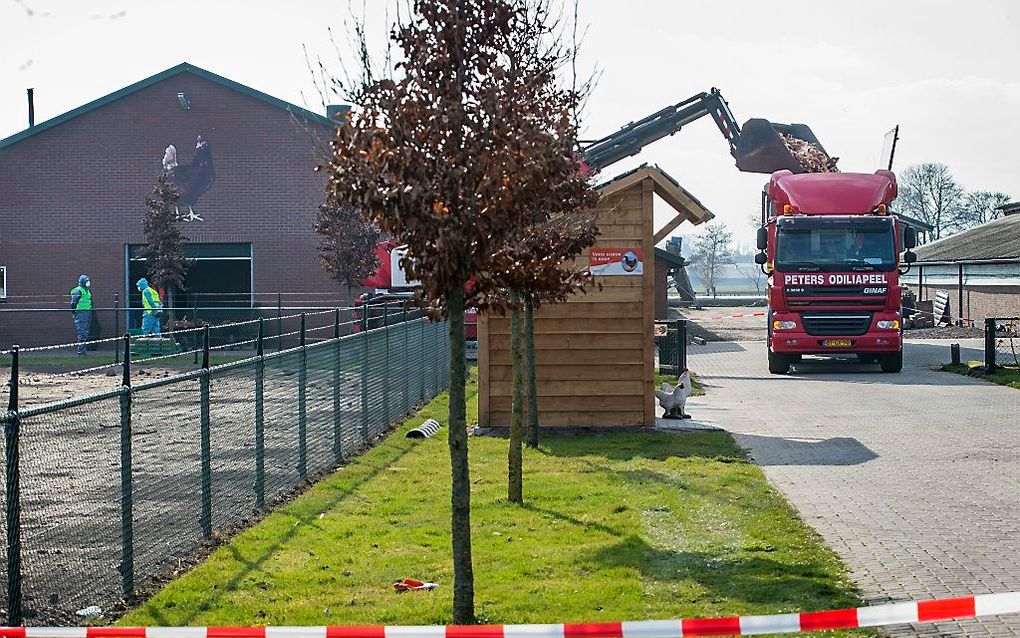 Ruiming bij het bedrijf in Barneveld. Beeld ANP