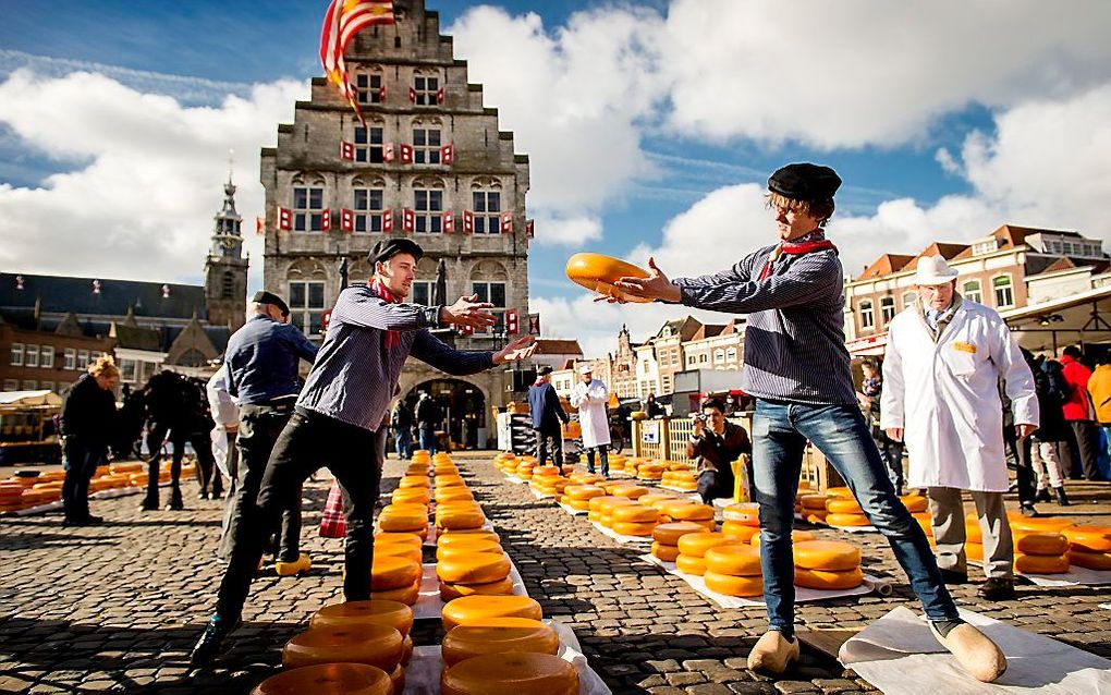 De opening van het Nederlands kaasseizoen tijdens de eerste Gouda kaasmarkt van het jaar. Op de Goudse Markt worden de kazen verhandeld, die nog altijd op ambachtelijke wijze in de polders rondom de stad worden gemaakt. beeld ANP