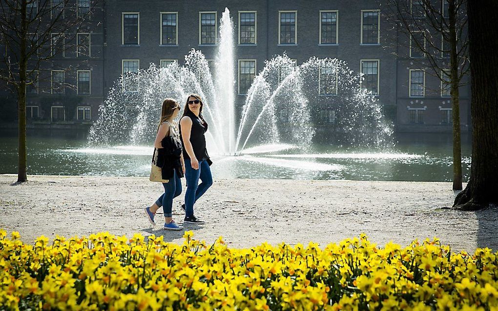 Lente op het Binnenhof. beeld ANP