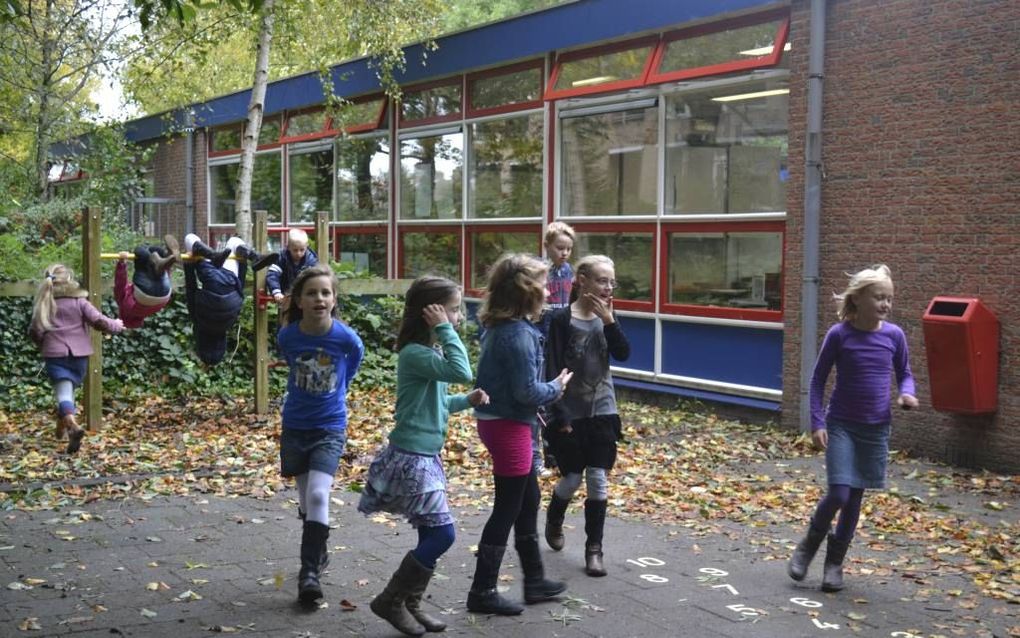 beeld basisschool De Zaaier