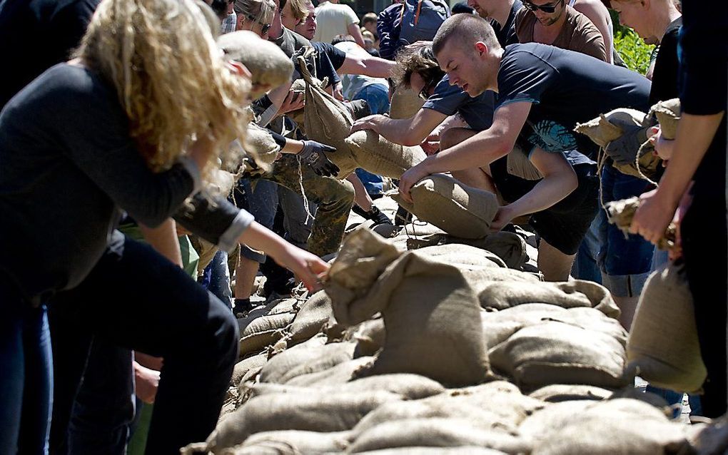 Dresden, juni 2013. beeld AFP