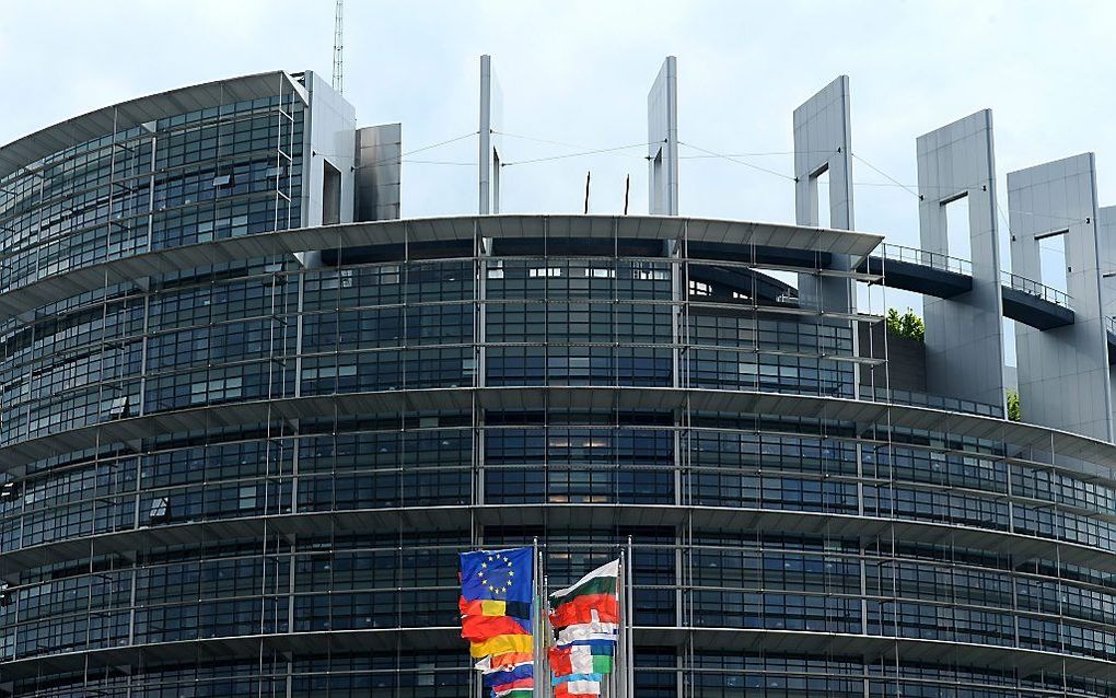 Het gebouw van het Europees Parlement in Straatsburg.  beeld EPA