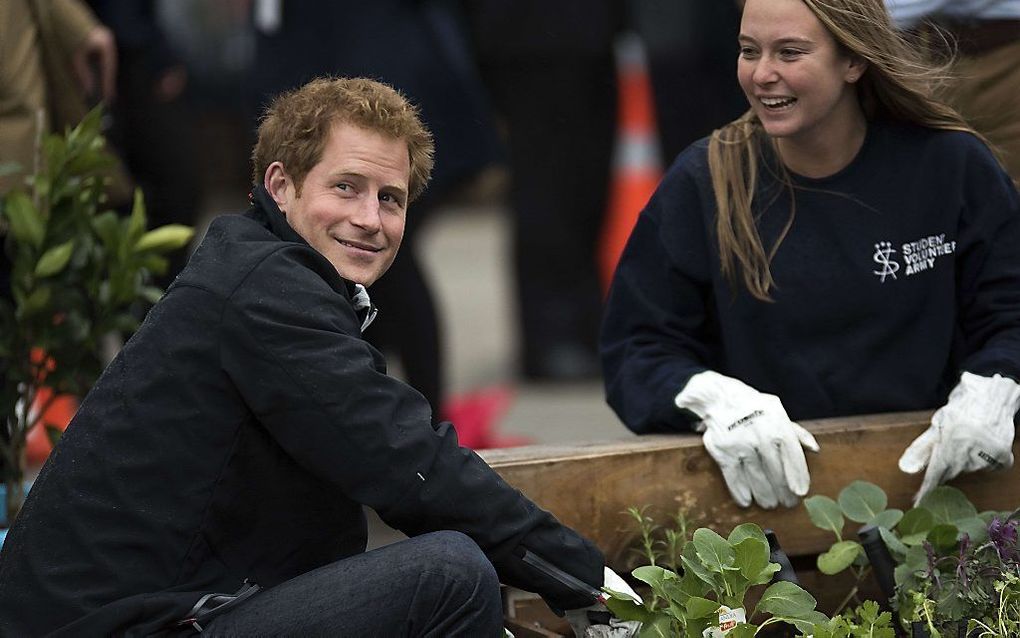 Prins Harry op bezoek in Nieuw Zeeland. beeld AFP