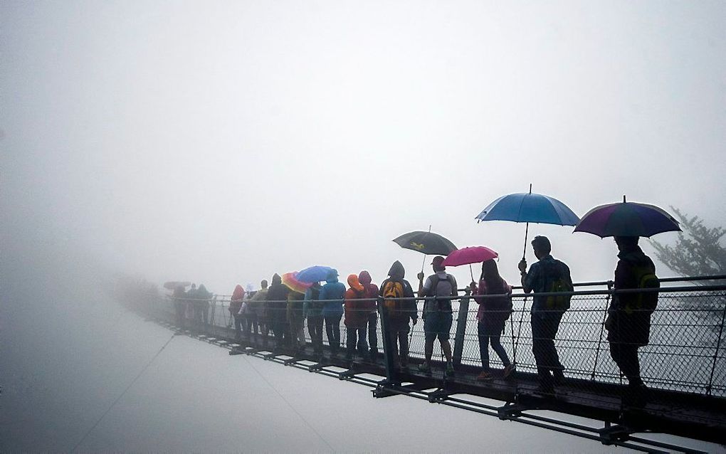 Wandelaars lopen over de touwbrug boven de Sementina vallei in Zwitserland. beeld EPA