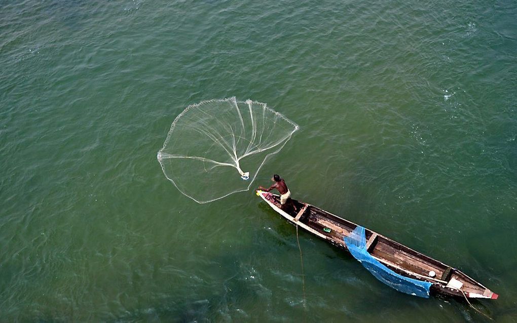 Een visser werpt maandag zijn net uit in de rivier de Mahanadi, zo'n 30 kilometer van de Oost-Indiase stad Bhubaneswar. beeld AFP