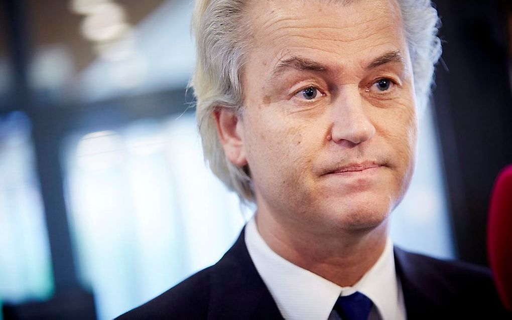 PVV-leider Wilders. beeld ANP