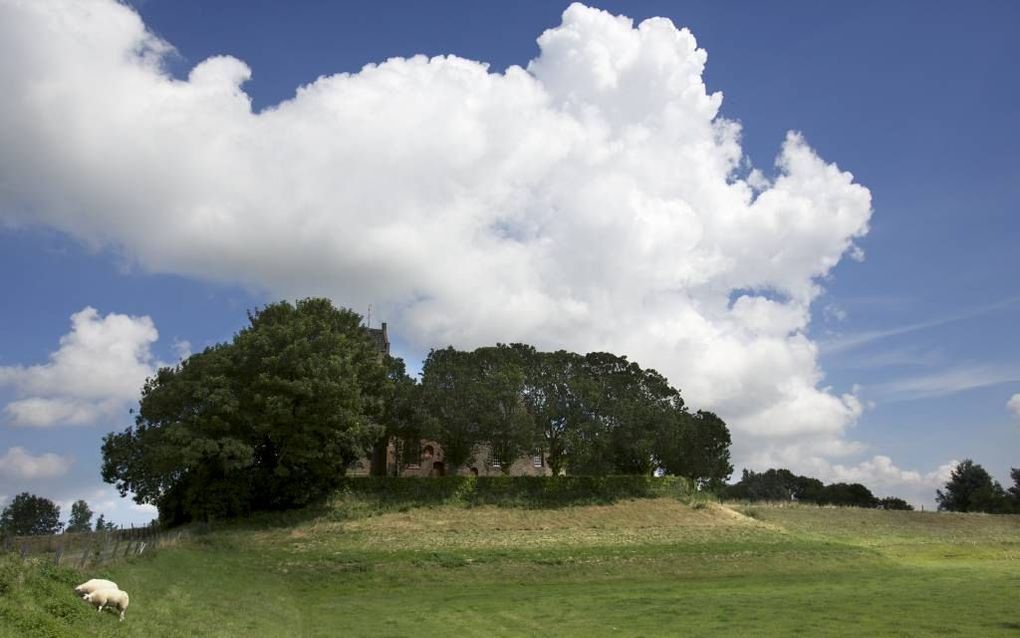 De natuur rond oude kerken is rijk; rijker dan vaak gedacht. Dat geldt in het bijzonder voor de Friese terpkerken, die vaak oases vormen in uitgestrekte landbouwgebieden, vertelt de expositie ”Goddelijk groen” in het Natuurmuseum Fryslân in Leeuwarden. be