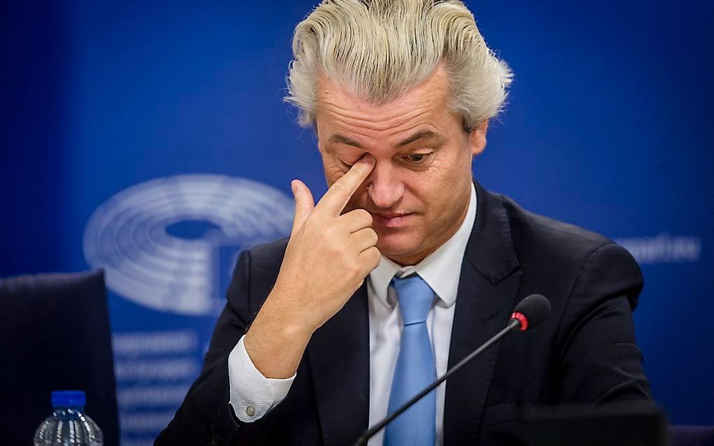 Wilders. Beeld ANP