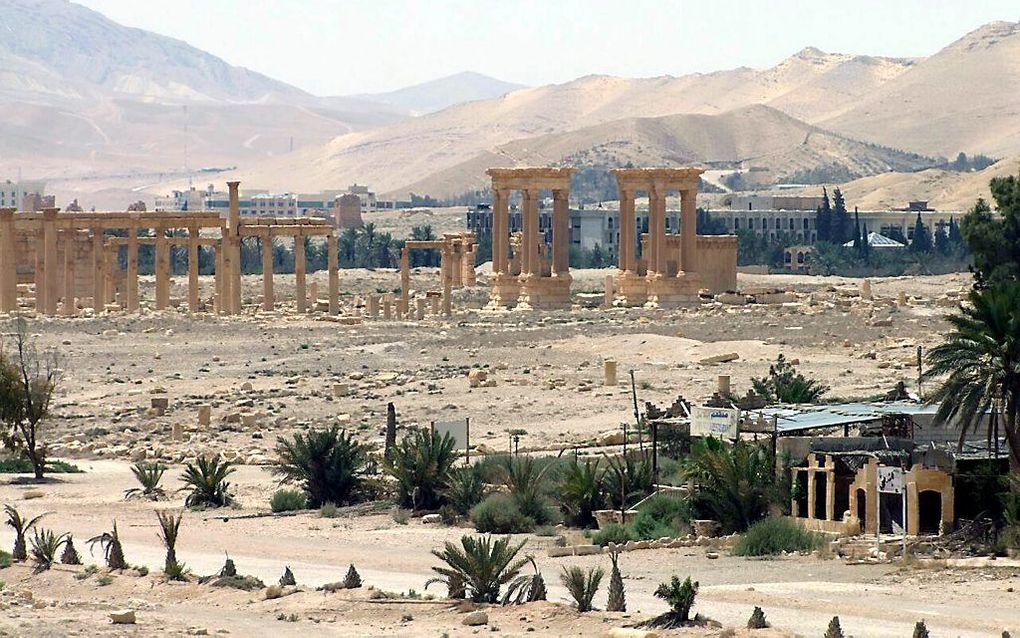 Palmyra. Beeld AFP